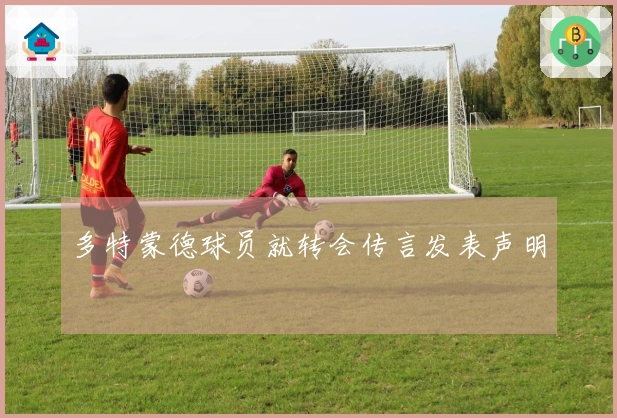 多特蒙德球员就转会传言发表声明
